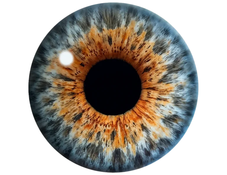 eye pupil